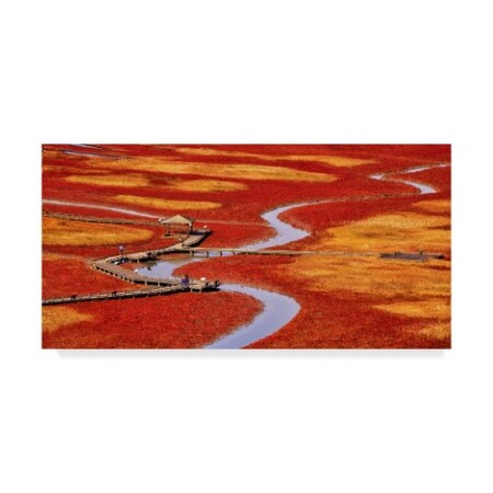 Trademark Fine Art Tiger Seo 'Salt Pond' Canvas Art, 10x19 1X06887-C1019GG